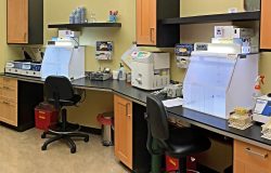 lab where stem cells are processed