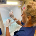 PRP benefits