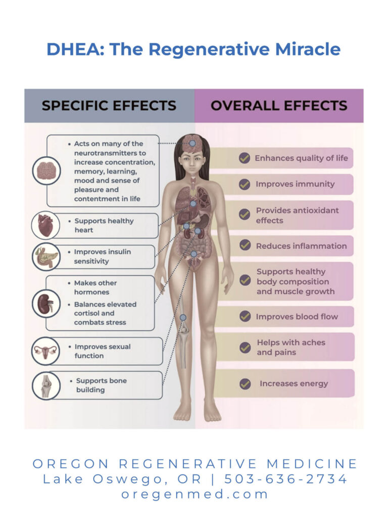 DHEA Infographic
