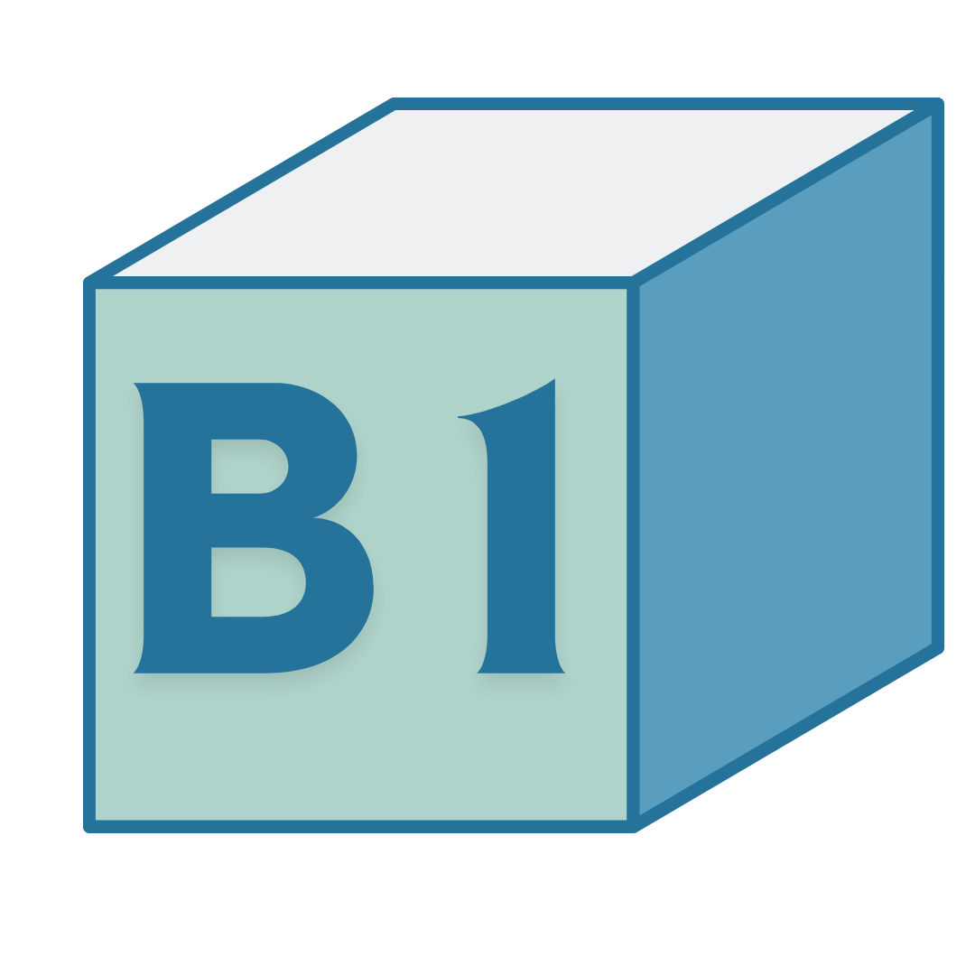 B1