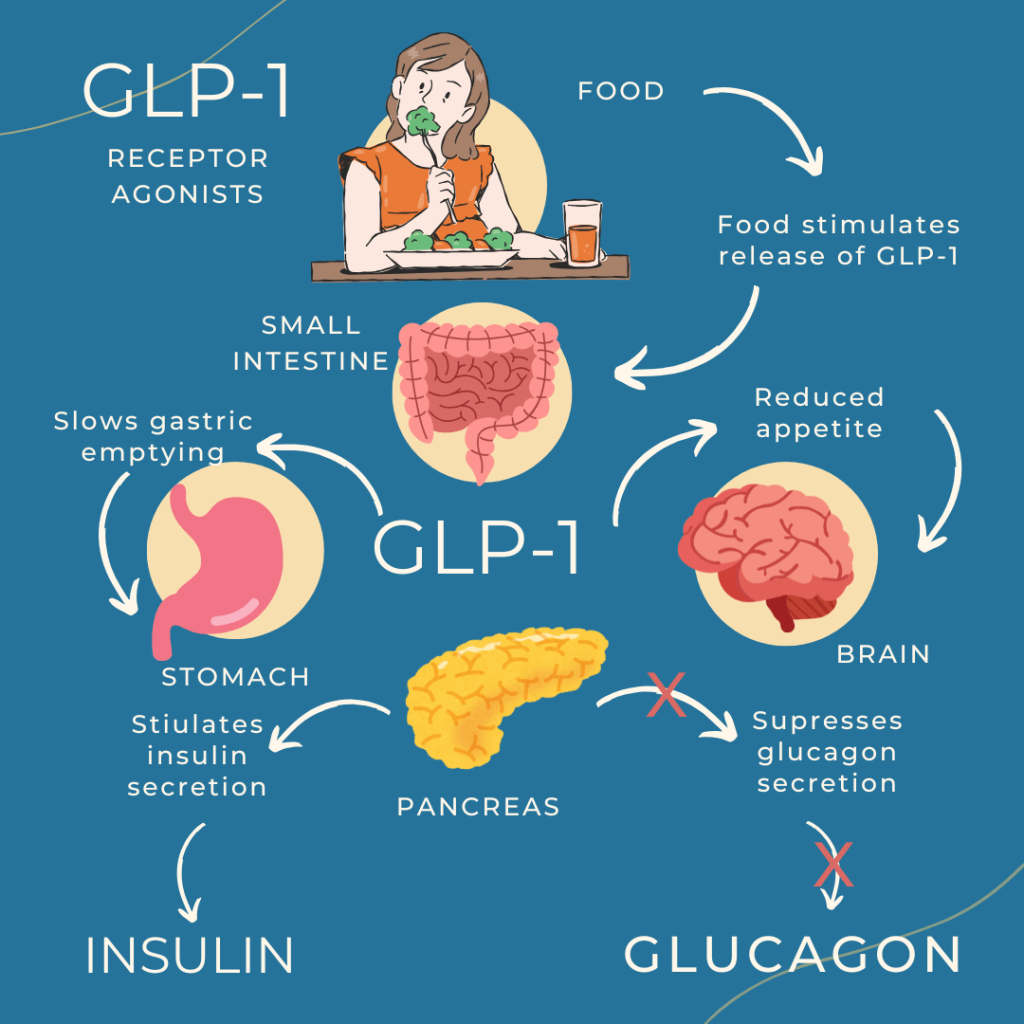 Infographic showing how GLP-1 receptor agonists help with weight loss